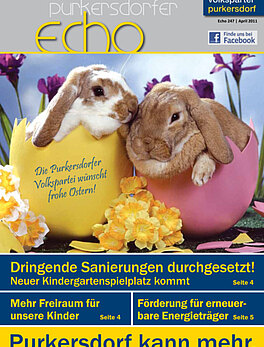 Echo Nr. 247
